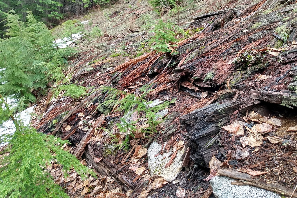 Roof of the collapsed snow shed 